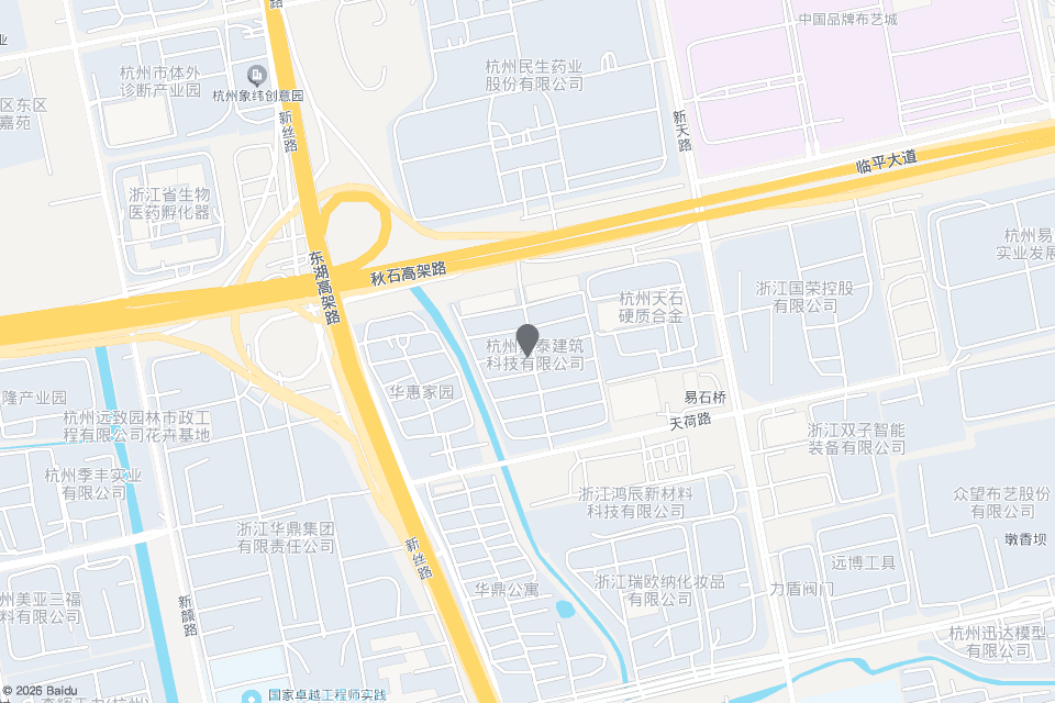 临平大道493号所在区域的静态地图，地址标记位于临平大道与东湖高架路交会处东南侧